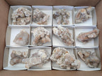 Natural Fairy Spirit Quartz Clusters x 12 From Boekenhouthoek, South Africa - Toprock Gemstones and Minerals 