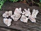 Natural Fairy Spirit Quartz Clusters x 12 From Boekenhouthoek, South Africa - Toprock Gemstones and Minerals 