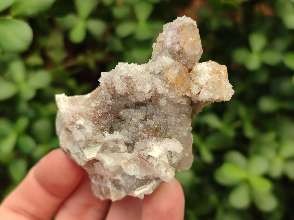 Natural Fairy Spirit Quartz Clusters x 12 From Boekenhouthoek, South Africa - Toprock Gemstones and Minerals 