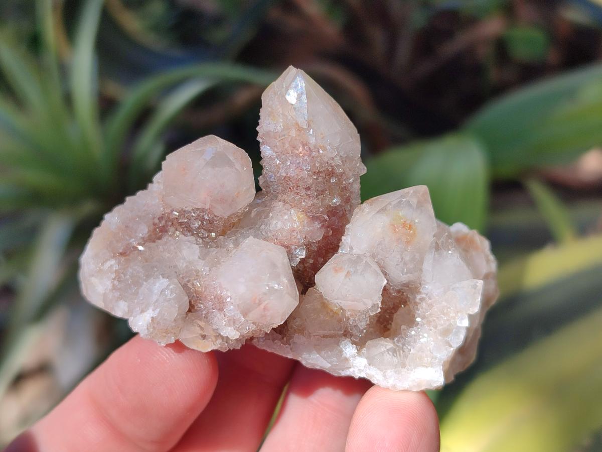 Natural Fairy Spirit Quartz Clusters x 12 From Boekenhouthoek, South Africa - Toprock Gemstones and Minerals 