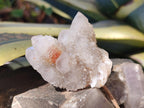 Natural Fairy Spirit Quartz Clusters x 12 From Boekenhouthoek, South Africa - Toprock Gemstones and Minerals 