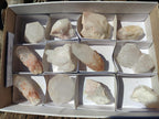 Natural Cascading Candle Quartz Crystals x 12 From Antsirabe, Madagascar - Toprock Gemstones and Minerals 