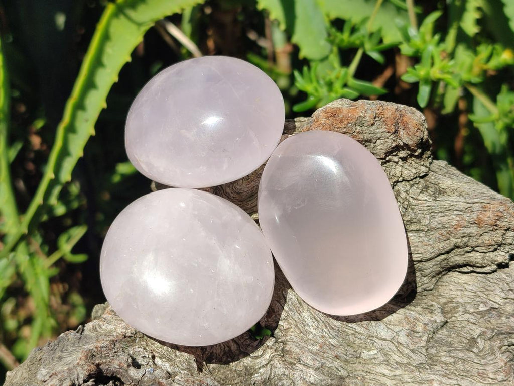 Polished Gemmy Lavender Rose Quartz Palm Stones x 24 From Madagascar - Toprock Gemstones and Minerals 
