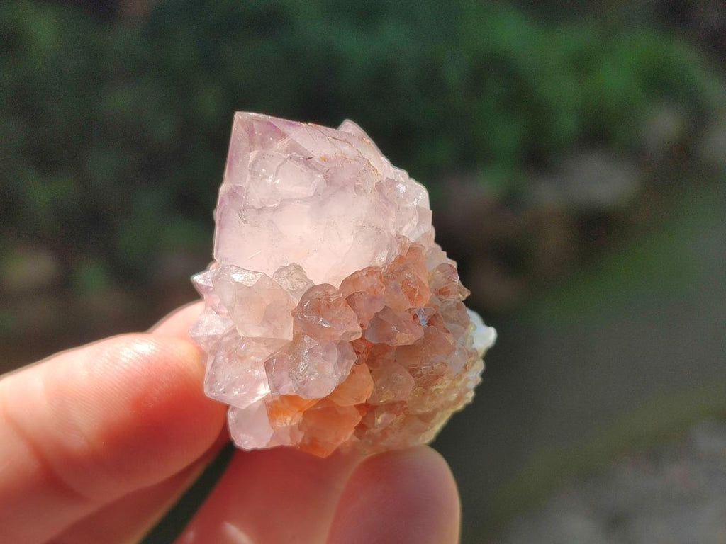 Natural Sunburst Amethyst Single Spirit Crystals x 35 From Boekenhouthoek, South Africa - Toprock Gemstones and Minerals 