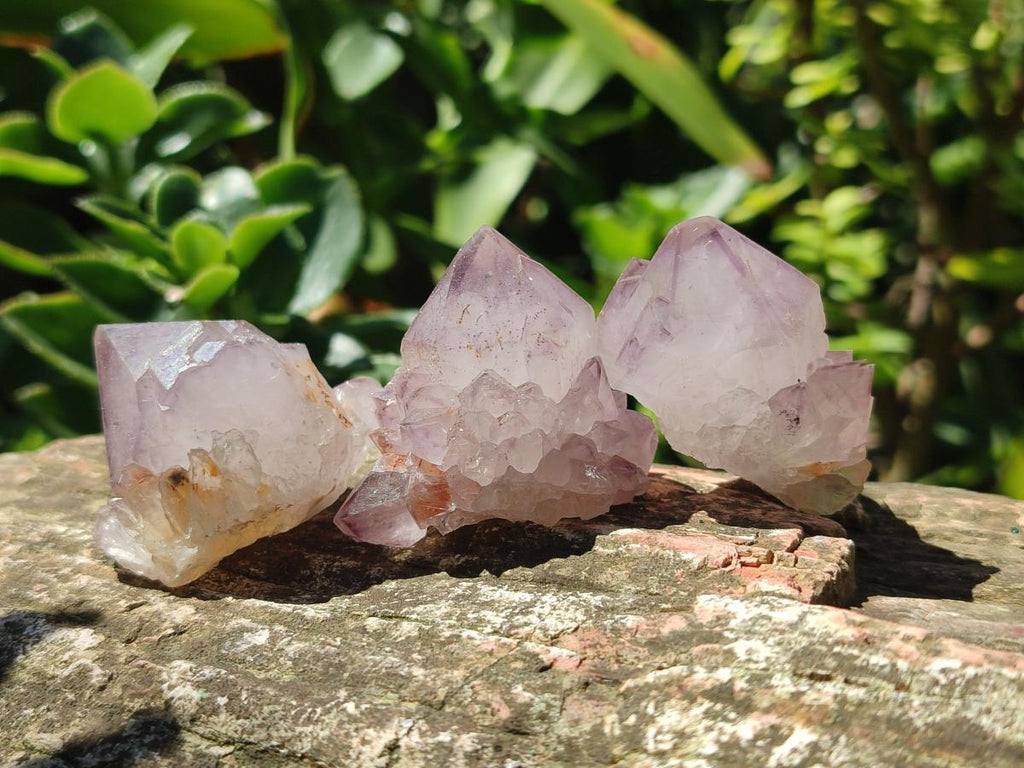 Natural Sunburst Amethyst Single Spirit Crystals x 35 From Boekenhouthoek, South Africa - Toprock Gemstones and Minerals 