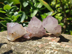 Natural Sunburst Amethyst Single Spirit Crystals x 35 From Boekenhouthoek, South Africa - Toprock Gemstones and Minerals 