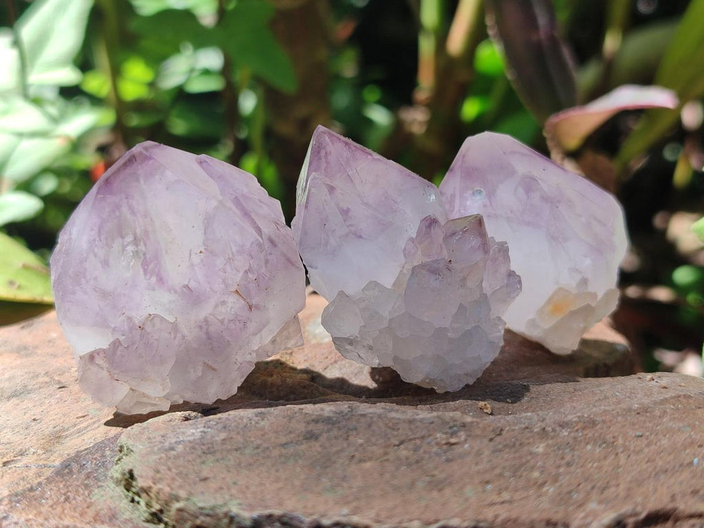 Natural Sunburst Amethyst Single Spirit Crystals x 35 From Boekenhouthoek, South Africa - Toprock Gemstones and Minerals 