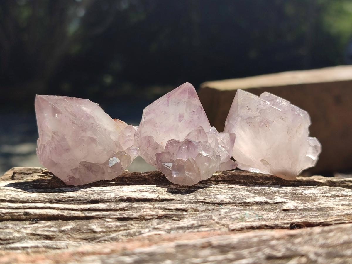 Natural Sunburst Amethyst Single Spirit Crystals x 35 From Boekenhouthoek, South Africa - Toprock Gemstones and Minerals 