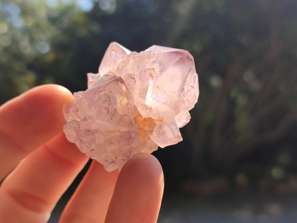 Natural Sunburst Amethyst Single Spirit Crystals x 35 From Boekenhouthoek, South Africa - Toprock Gemstones and Minerals 