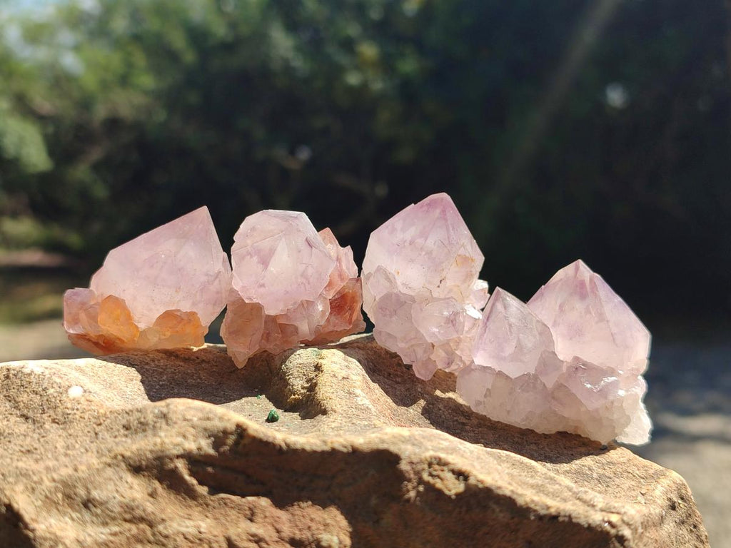 Natural Sunburst Amethyst Single Spirit Crystals x 35 From Boekenhouthoek, South Africa - Toprock Gemstones and Minerals 