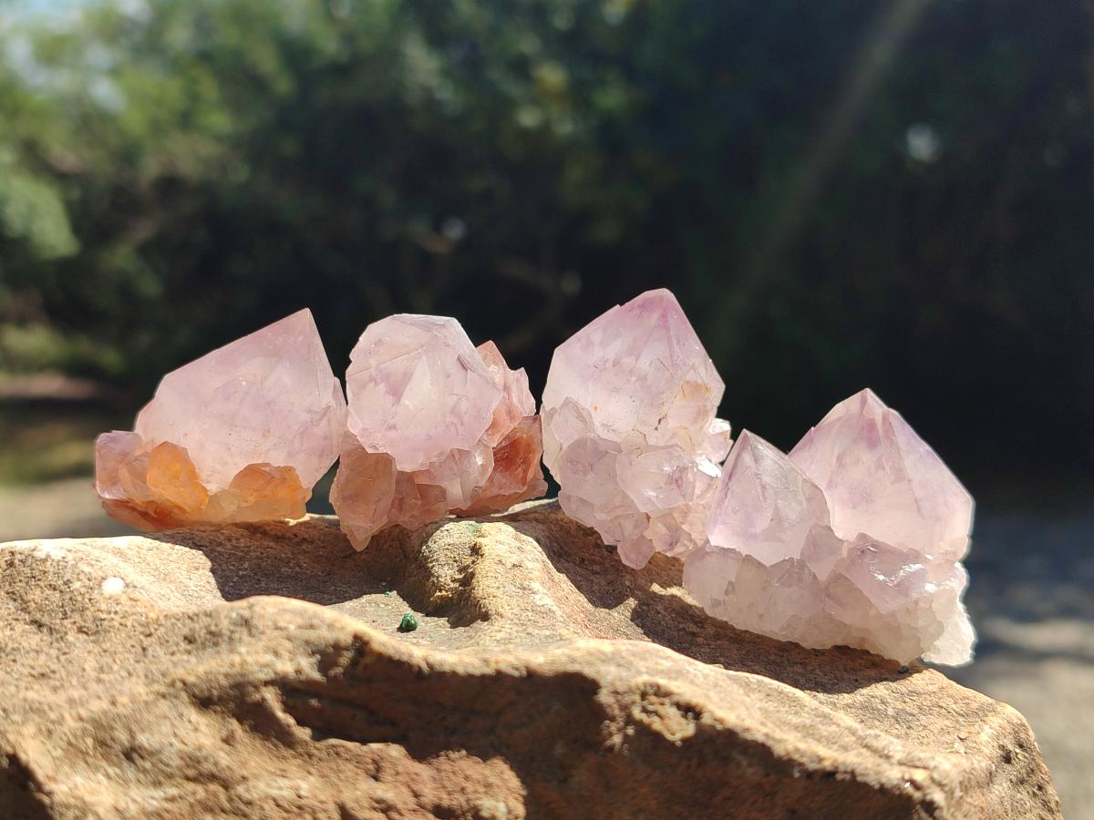 Natural Sunburst Amethyst Single Spirit Crystals x 35 From Boekenhouthoek, South Africa - Toprock Gemstones and Minerals 