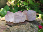 Natural Sunburst Amethyst Single Spirit Crystals x 35 From Boekenhouthoek, South Africa - Toprock Gemstones and Minerals 