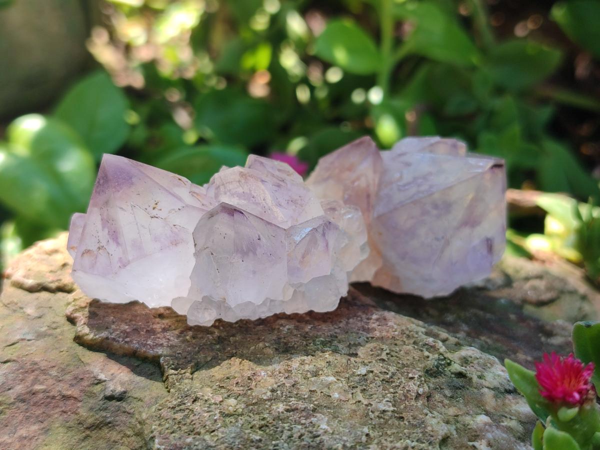 Natural Sunburst Amethyst Single Spirit Crystals x 35 From Boekenhouthoek, South Africa - Toprock Gemstones and Minerals 