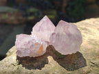 Natural Sunburst Amethyst Single Spirit Crystals x 35 From Boekenhouthoek, South Africa - Toprock Gemstones and Minerals 