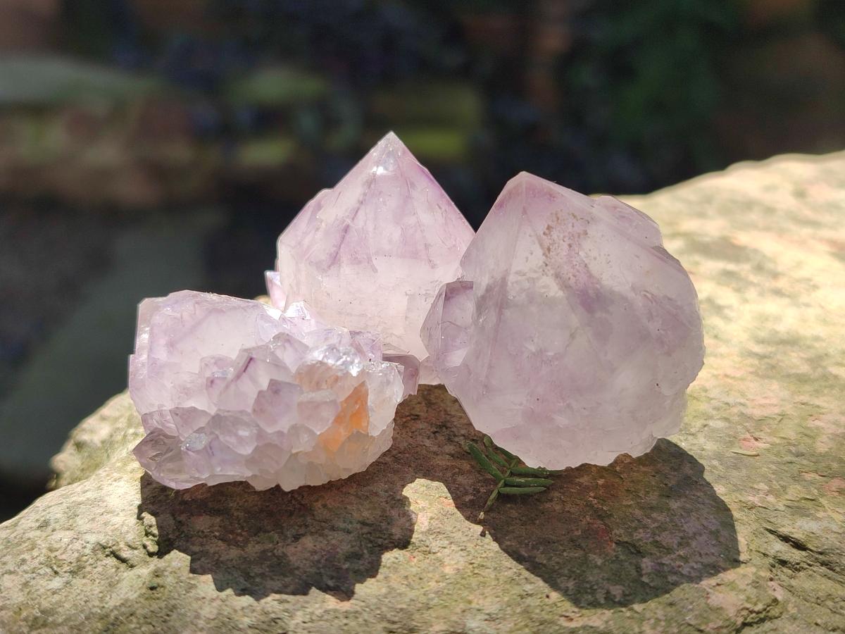 Natural Sunburst Amethyst Single Spirit Crystals x 35 From Boekenhouthoek, South Africa - Toprock Gemstones and Minerals 
