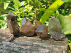 Natural Smokey Quartz Crystals x 35 From Zomba Plateau, Malawi - Toprock Gemstones and Minerals 