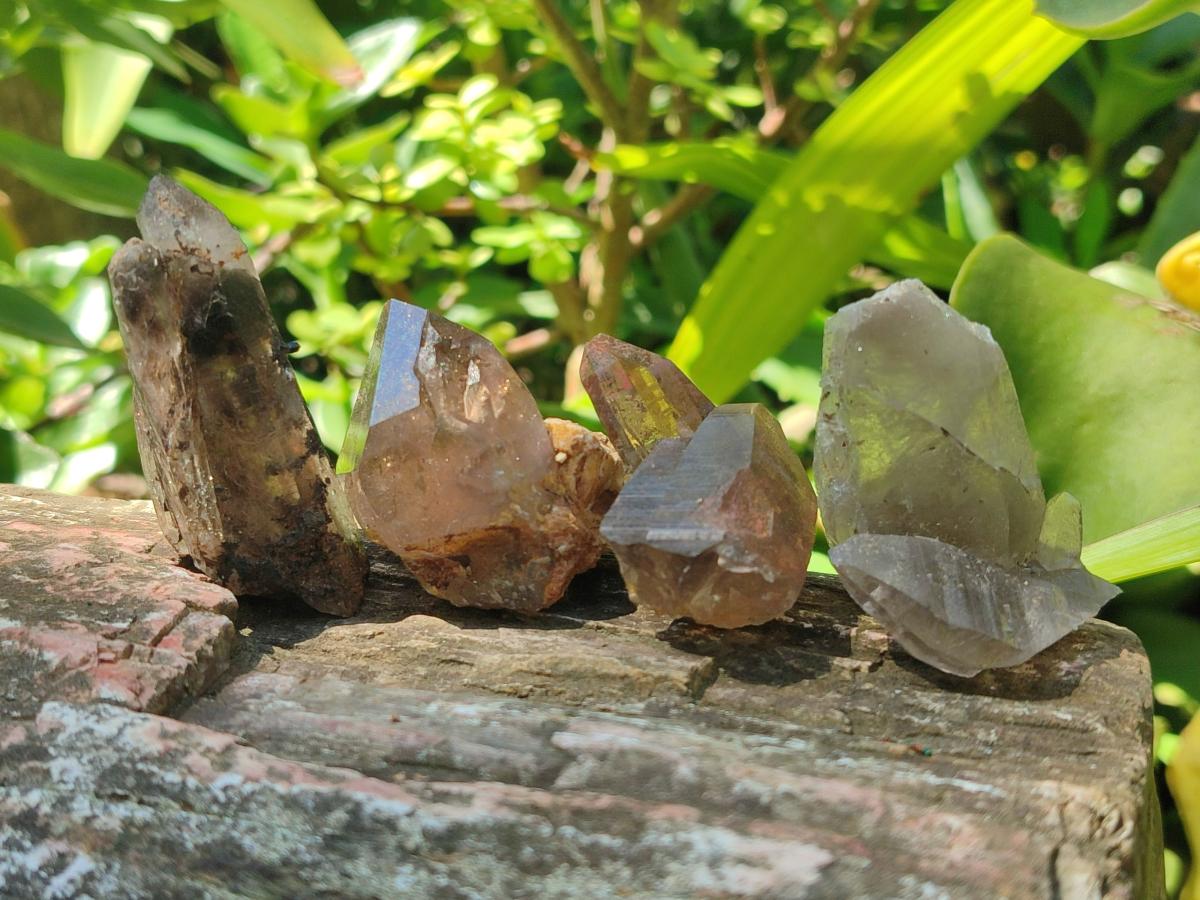 Natural Smokey Quartz Crystals x 35 From Zomba Plateau, Malawi - Toprock Gemstones and Minerals 
