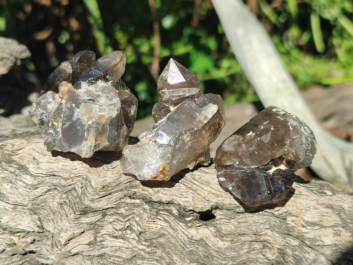 Natural Smokey Quartz Crystals x 35 From Zomba Plateau, Malawi - Toprock Gemstones and Minerals 