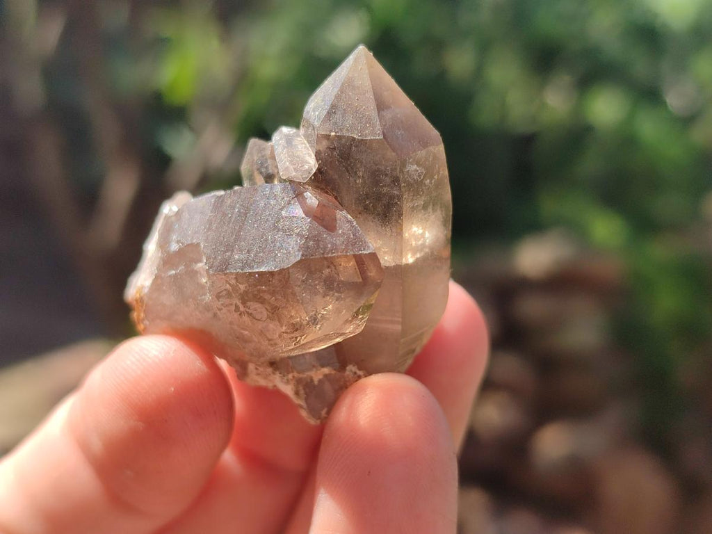 Natural Smokey Quartz Crystals x 35 From Zomba Plateau, Malawi - Toprock Gemstones and Minerals 