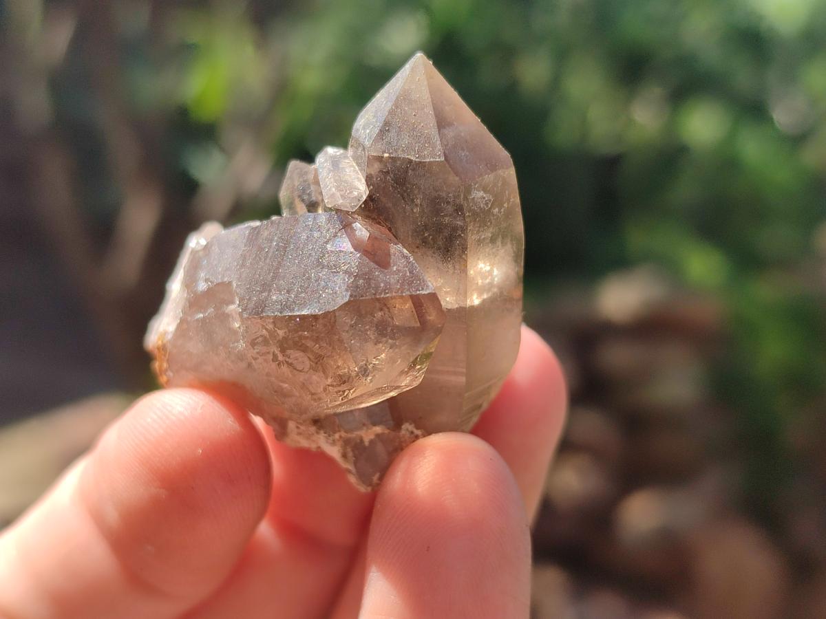 Natural Smokey Quartz Crystals x 35 From Zomba Plateau, Malawi - Toprock Gemstones and Minerals 