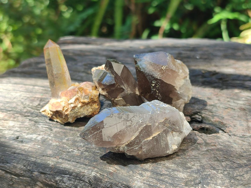 Natural Smokey Quartz Crystals x 35 From Zomba Plateau, Malawi - Toprock Gemstones and Minerals 