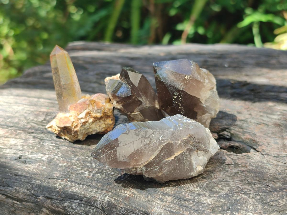 Natural Smokey Quartz Crystals x 35 From Zomba Plateau, Malawi - Toprock Gemstones and Minerals 
