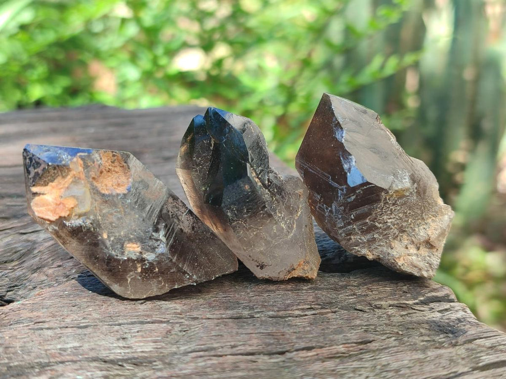 Natural Smokey Quartz Crystals x 35 From Zomba Plateau, Malawi - Toprock Gemstones and Minerals 