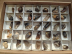 Natural Smokey Quartz Crystals x 35 From Zomba Plateau, Malawi - Toprock Gemstones and Minerals 