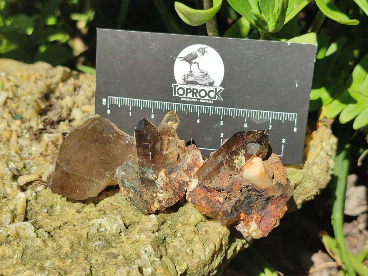 Natural Smokey Quartz Crystals x 35 From Zomba Plateau, Malawi - Toprock Gemstones and Minerals 