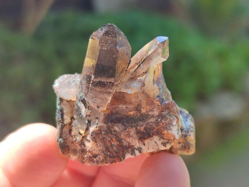 Natural Smokey Quartz Crystals x 35 From Zomba Plateau, Malawi - Toprock Gemstones and Minerals 