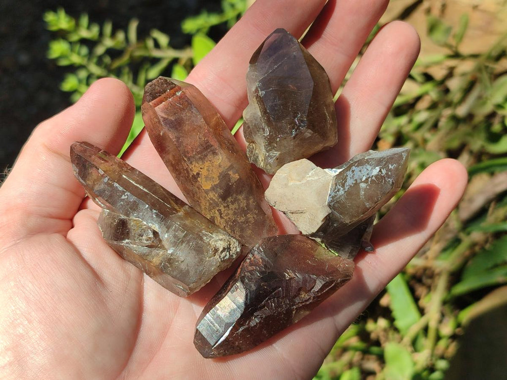 Natural Smokey Quartz Crystals x 35 From Zomba Plateau, Malawi - Toprock Gemstones and Minerals 