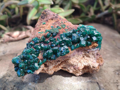 Natural Cabinet Dioptase on Dolomite Specimens with Malachite Pseudomorph x 2 From Likasi, Congo - Toprock Gemstones and Minerals 