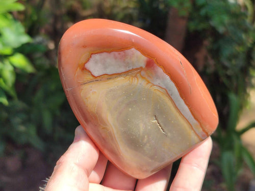 Polished Polychrome Jasper Standing Free Forms x 6 From NW Coast, Madagascar - Toprock Gemstones and Minerals 