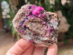 Natural Salrose Cobaltoan Dolomite with Malachite and Chrysocolla Specimens x 6 From Kakanda, Congo - Toprock Gemstones and Minerals 