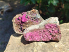 Natural Salrose Cobaltoan Dolomite with Malachite and Chrysocolla Specimens x 6 From Kakanda, Congo - Toprock Gemstones and Minerals 