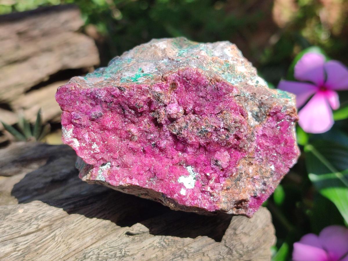 Natural Salrose Cobaltoan Dolomite with Malachite and Chrysocolla Specimens x 6 From Kakanda, Congo - Toprock Gemstones and Minerals 