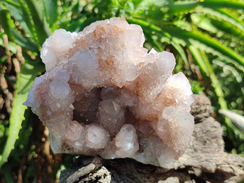 Natural Pale Lilac Amethyst Spirit Quartz Clusters x 3 From Boekenhouthoek, South Africa - Toprock Gemstones and Minerals 