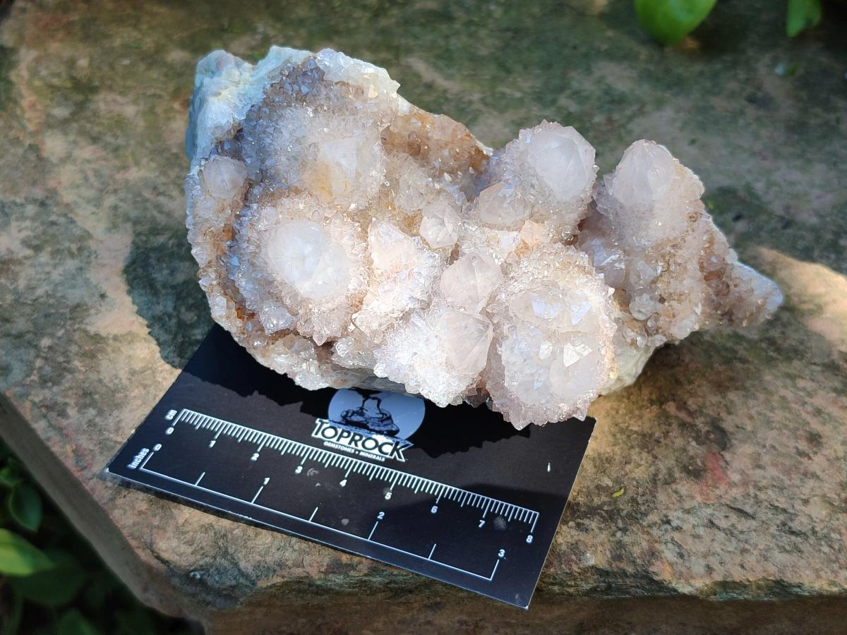 Natural Pale Lilac Amethyst Spirit Quartz Clusters x 3 From Boekenhouthoek, South Africa - Toprock Gemstones and Minerals 