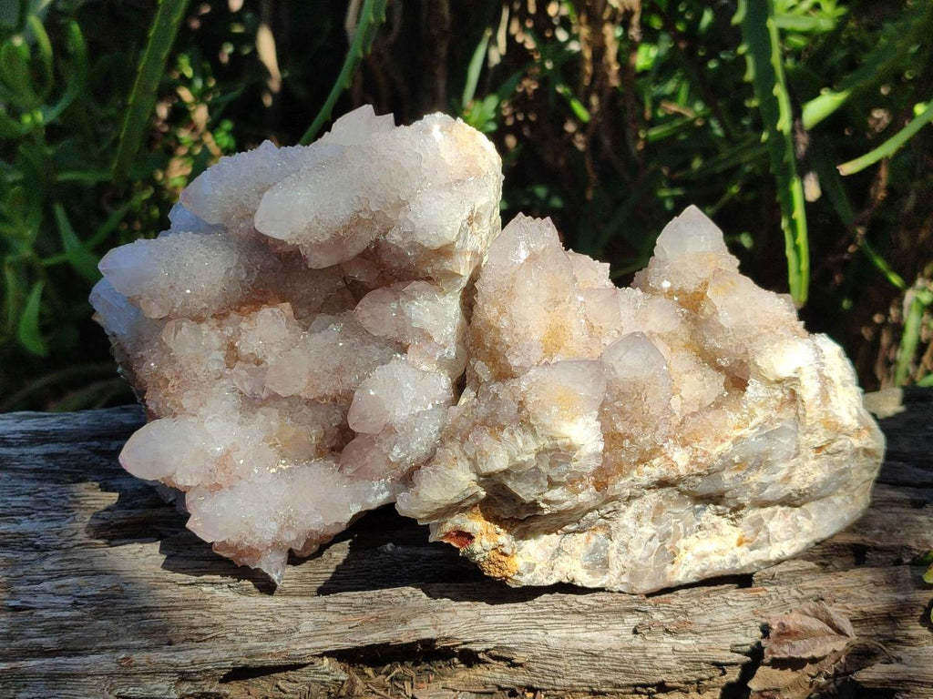 Natural Pale Lilac Amethyst Spirit Quartz Clusters x 3 From Boekenhouthoek, South Africa - Toprock Gemstones and Minerals 