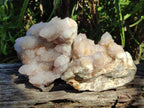 Natural Pale Lilac Amethyst Spirit Quartz Clusters x 3 From Boekenhouthoek, South Africa - Toprock Gemstones and Minerals 