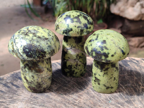 Polished Leopard Stone Mushrooms x 6 From Zimbabwe - Toprock Gemstones and Minerals 