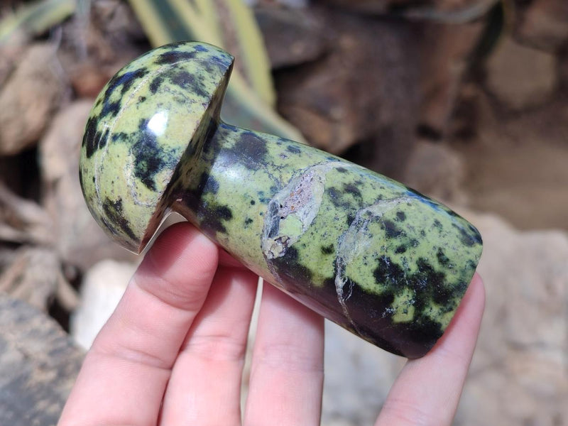 Polished Leopard Stone Mushrooms x 6 From Zimbabwe - Toprock Gemstones and Minerals 
