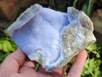 Natural Blue Lace Agate Geode Specimens x 6 From Nsanje, Malawi - Toprock Gemstones and Minerals 