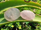 Polished Gemmy Rose Quartz Palm Stones x 24 From Madagascar - Toprock Gemstones and Minerals 