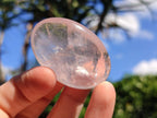 Polished Gemmy Rose Quartz Palm Stones x 24 From Madagascar - Toprock Gemstones and Minerals 