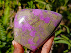 Polished Large Stichtite Standing Free Form x 1 From Barberton, South Africa - Toprock Gemstones and Minerals 