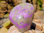 Polished Large Stichtite Standing Free Form x 1 From Barberton, South Africa - Toprock Gemstones and Minerals 