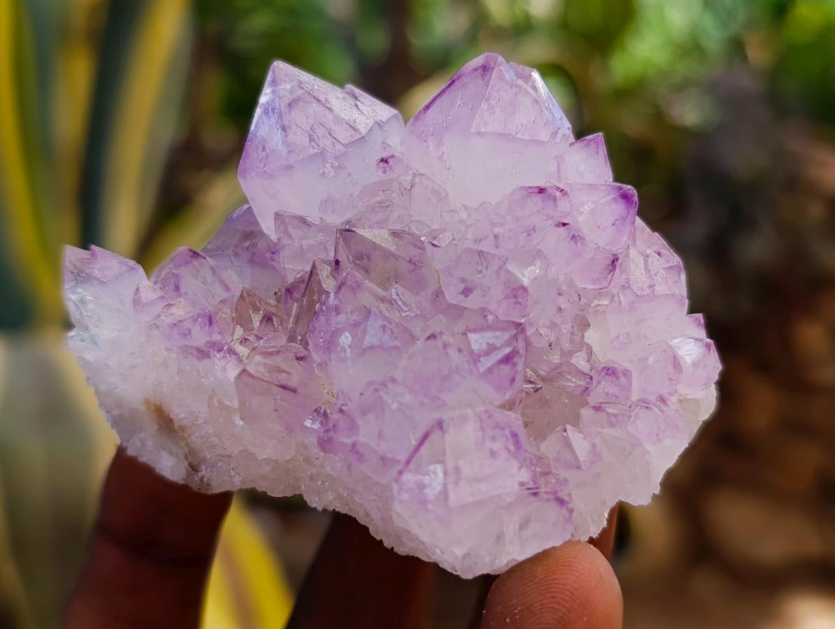 Natural Sunburst Amethyst Spirit Clusters x 12 From Boekenhouthoek, South Africa - Toprock Gemstones and Minerals 