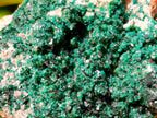 Natural Crystalline Malachite Specimens x 6 From Tenke Fungurume, Congo - Toprock Gemstones and Minerals 
