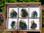 Natural Crystalline Malachite Specimens x 6 From Tenke Fungurume, Congo - Toprock Gemstones and Minerals 